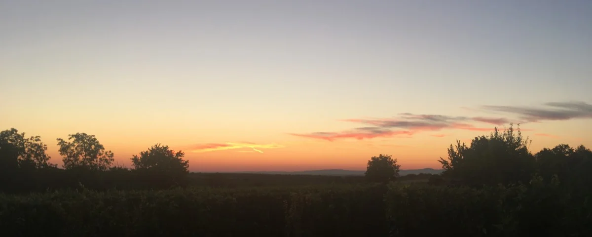 Sonnenaufgang über Feld